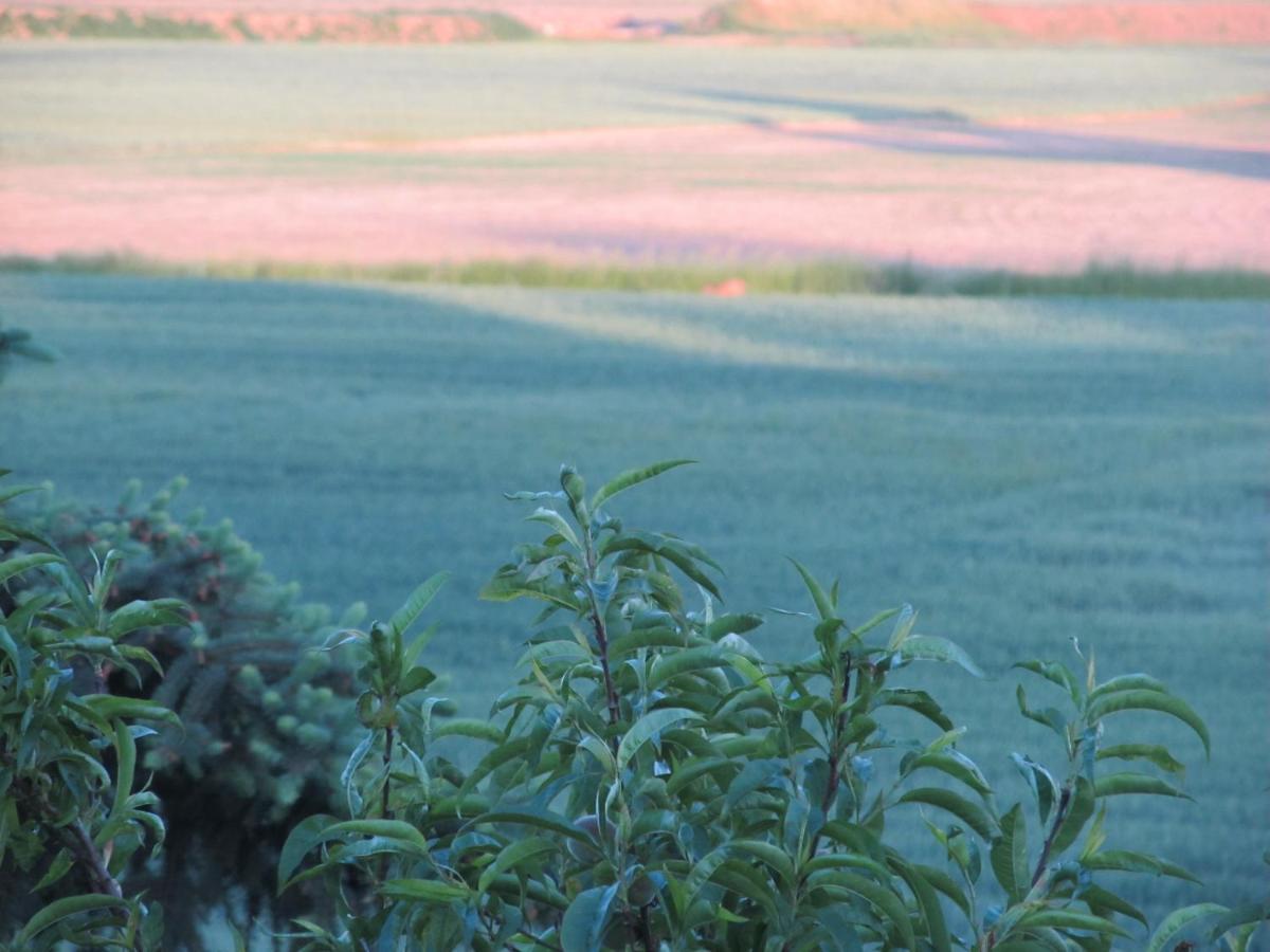 Zum Wiesengrund Im Oderbruch Altglietzen ภายนอก รูปภาพ