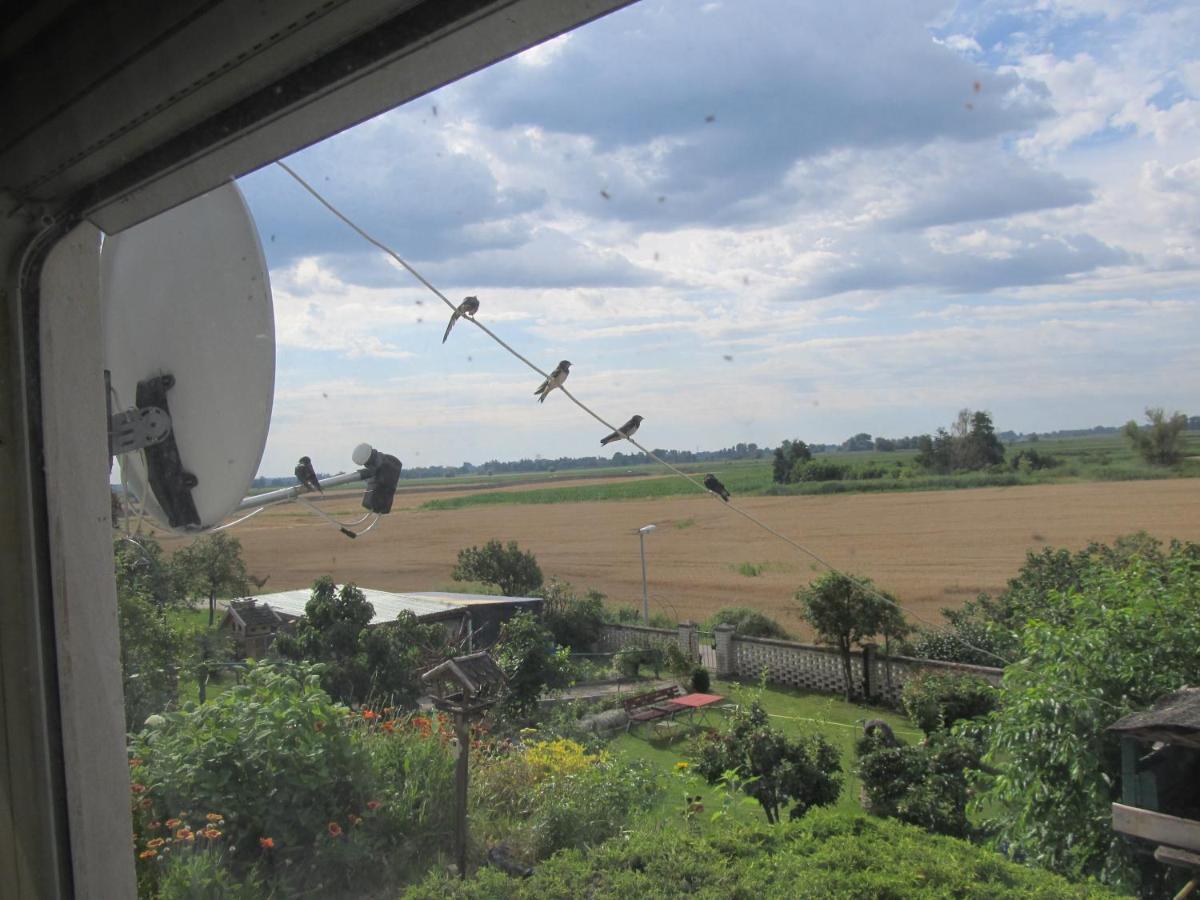 Zum Wiesengrund Im Oderbruch Altglietzen ภายนอก รูปภาพ