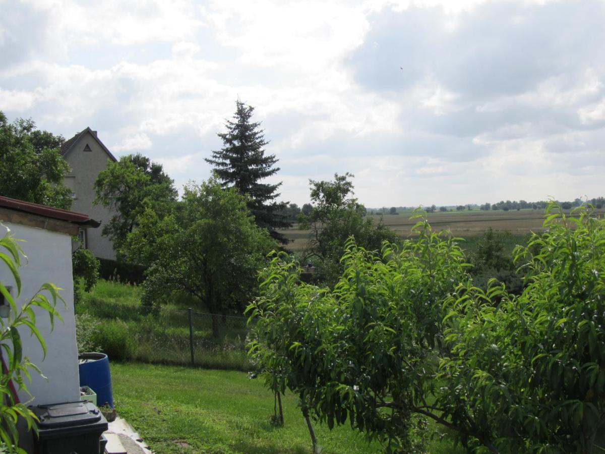 Zum Wiesengrund Im Oderbruch Altglietzen ภายนอก รูปภาพ