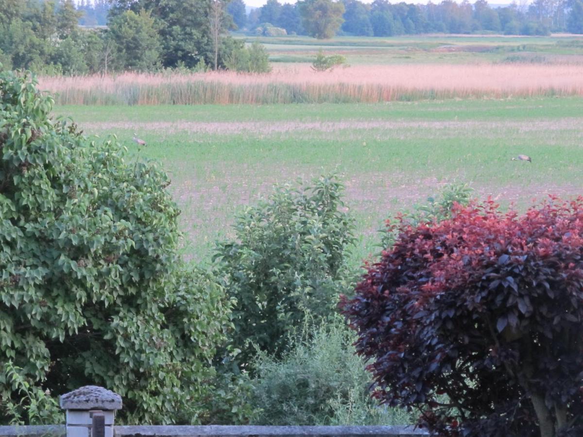 Zum Wiesengrund Im Oderbruch Altglietzen ภายนอก รูปภาพ