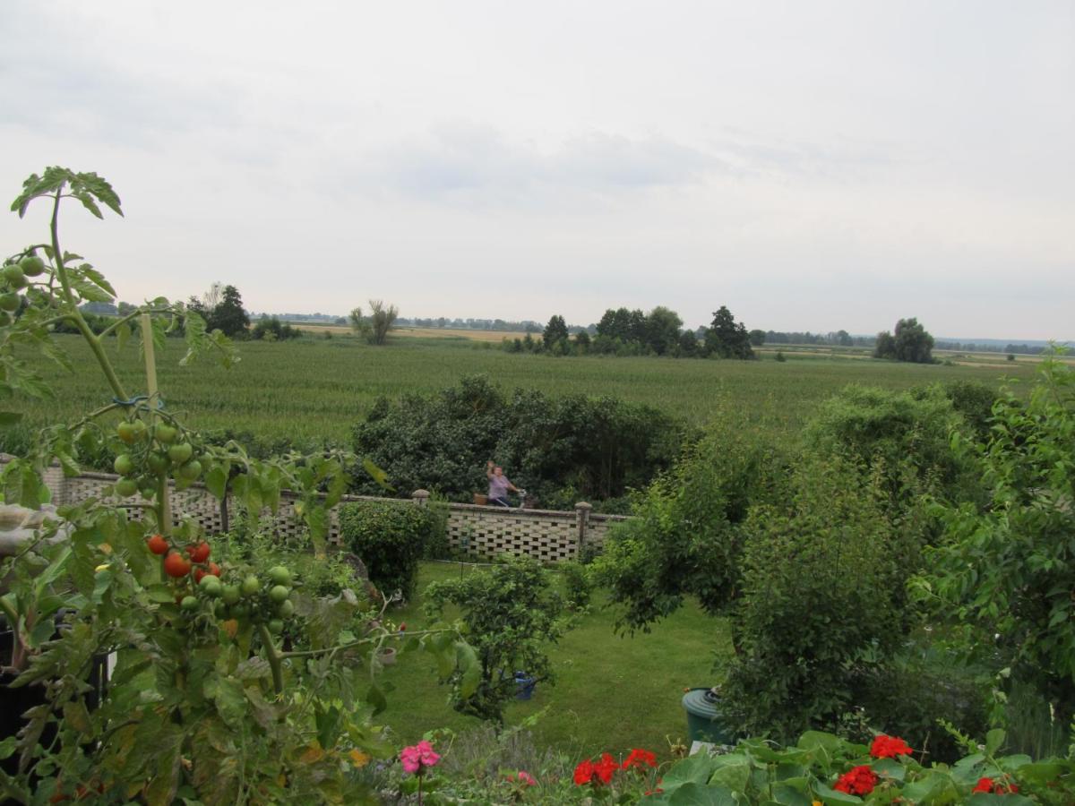 Zum Wiesengrund Im Oderbruch Altglietzen ภายนอก รูปภาพ