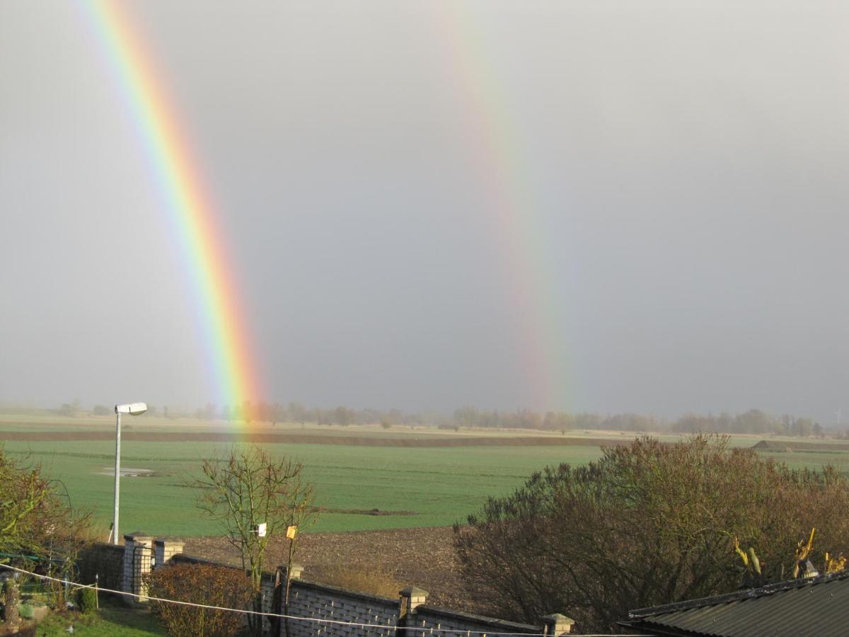 Zum Wiesengrund Im Oderbruch Altglietzen ภายนอก รูปภาพ