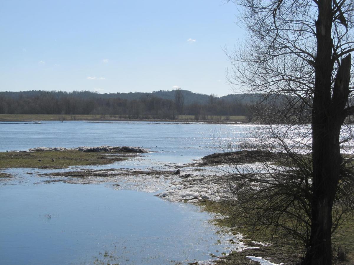 Zum Wiesengrund Im Oderbruch Altglietzen ภายนอก รูปภาพ