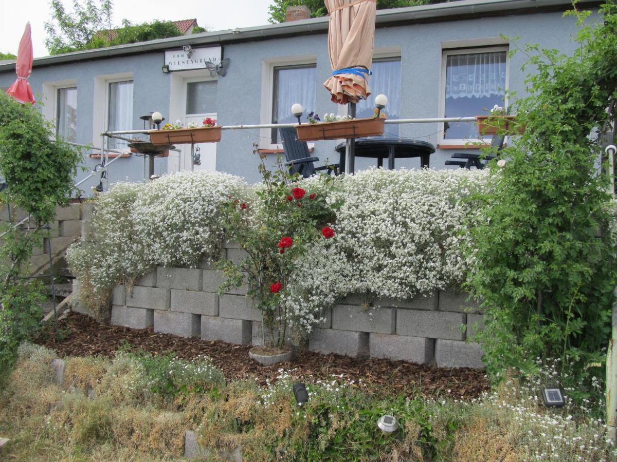 Zum Wiesengrund Im Oderbruch Altglietzen ภายนอก รูปภาพ